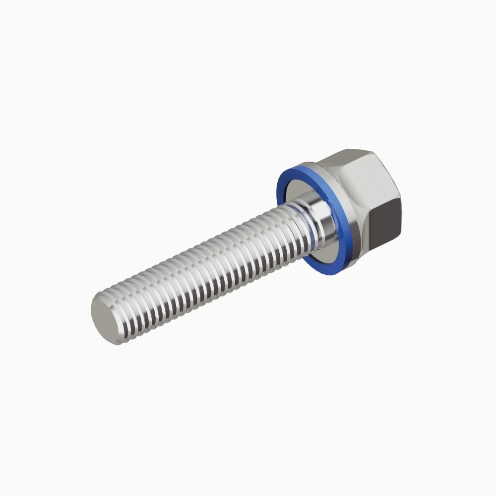 ,Certified hygienic screw|M
